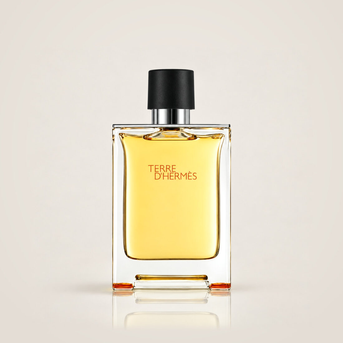 Hermès Terre d'Hermès EDT